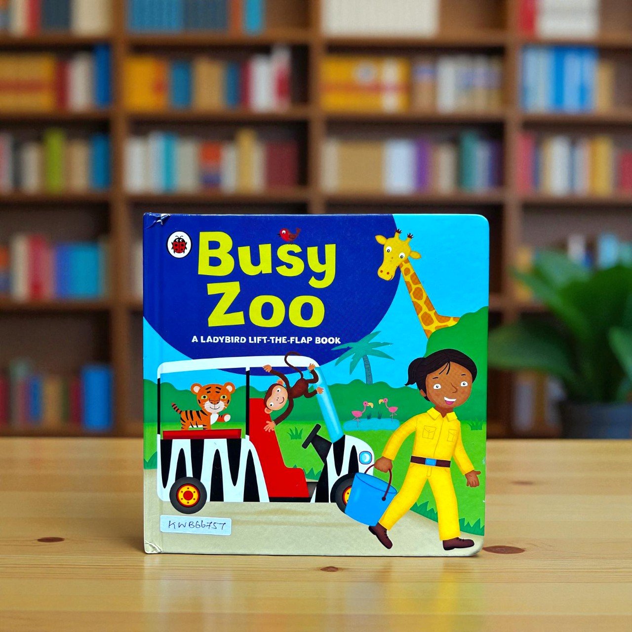 Busy Zoo_Flap Book_Ladybird _KWB66757