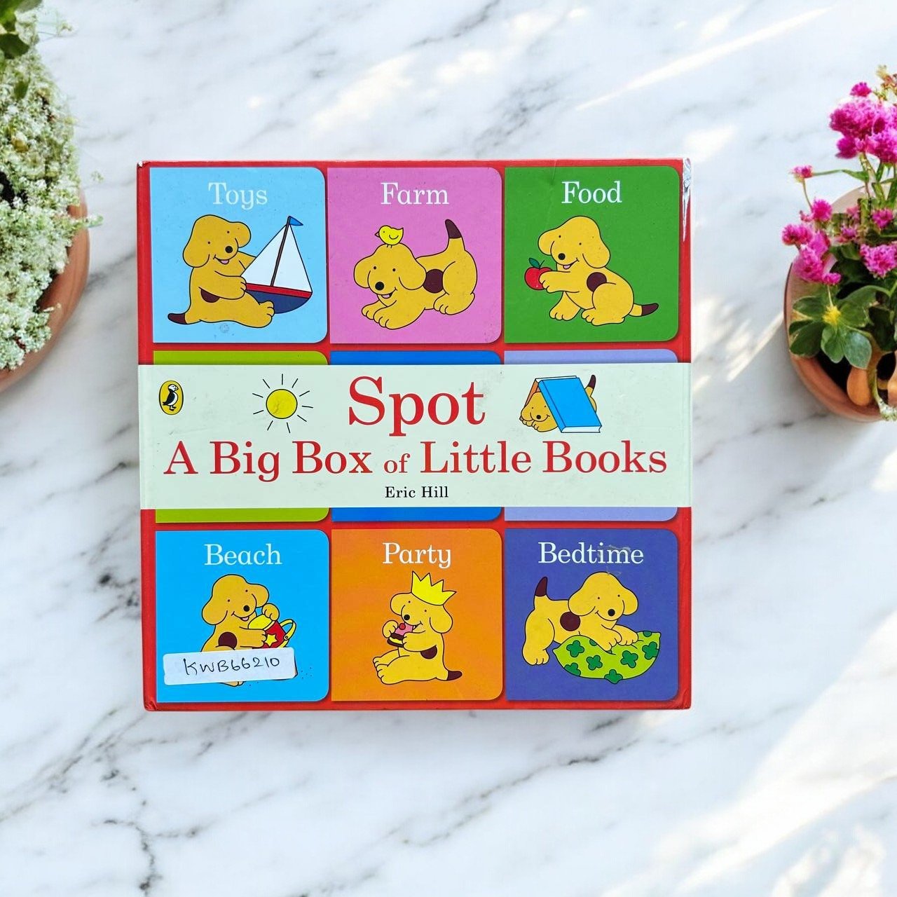 Spot A Big Box Of Little Books_Set Of 9 Books_Box Set_Eric Hill_KWB66210 - Image 4