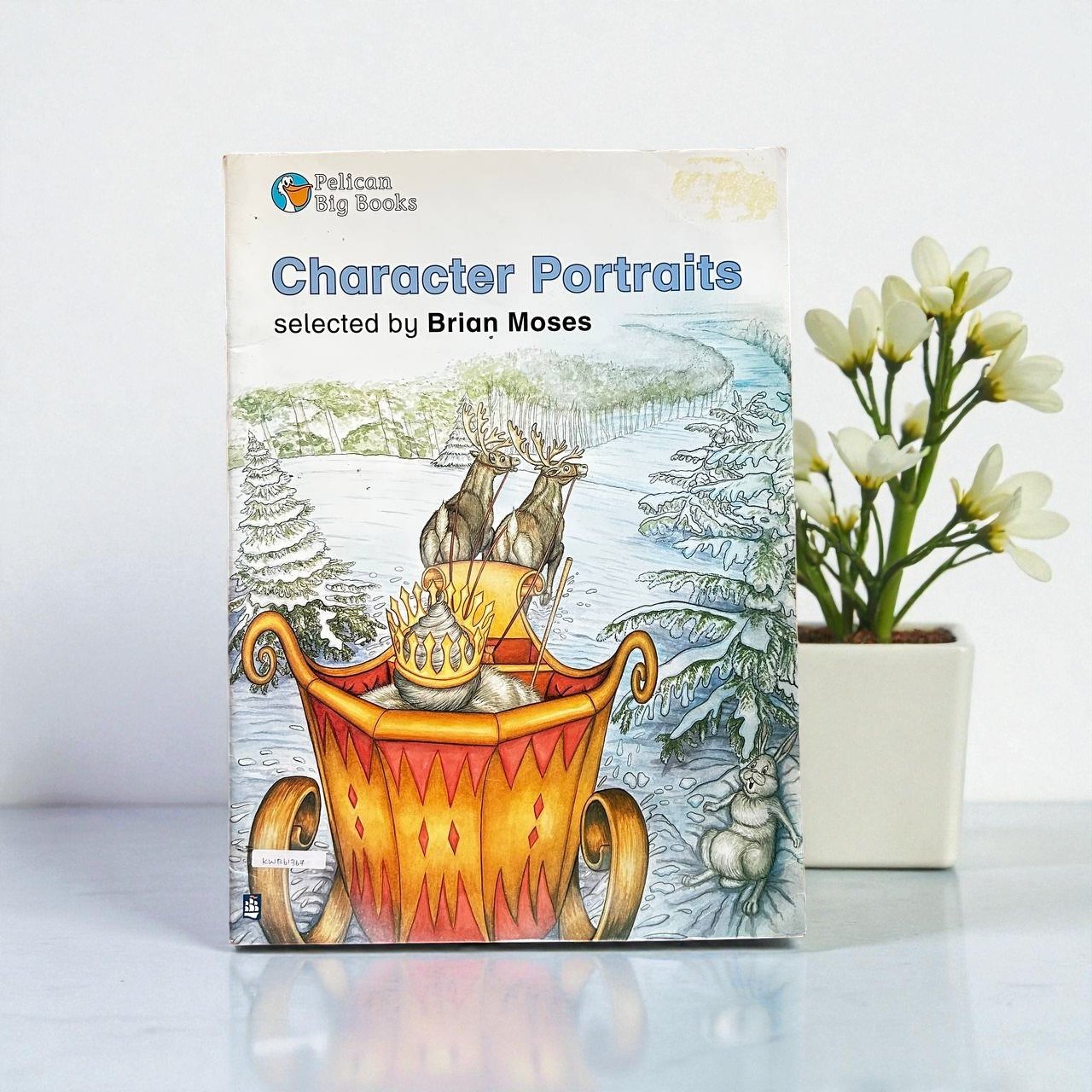 Character Portraits_Pelican_Big Book_Brian Moses_KWB61367