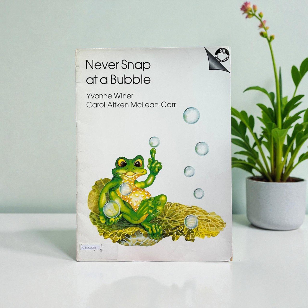 Never Snap At A Bubble_Magic Bean_Big Book_Yvonne Winer_KWB61380