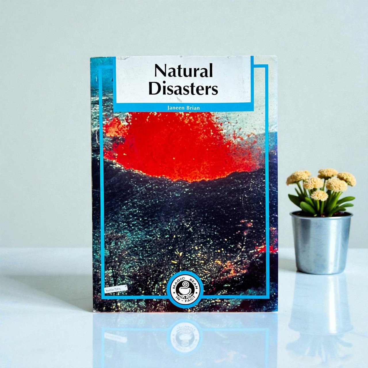 Natural Disasters_Magic Bean_Big Book_Janeen Brain_KWB61384