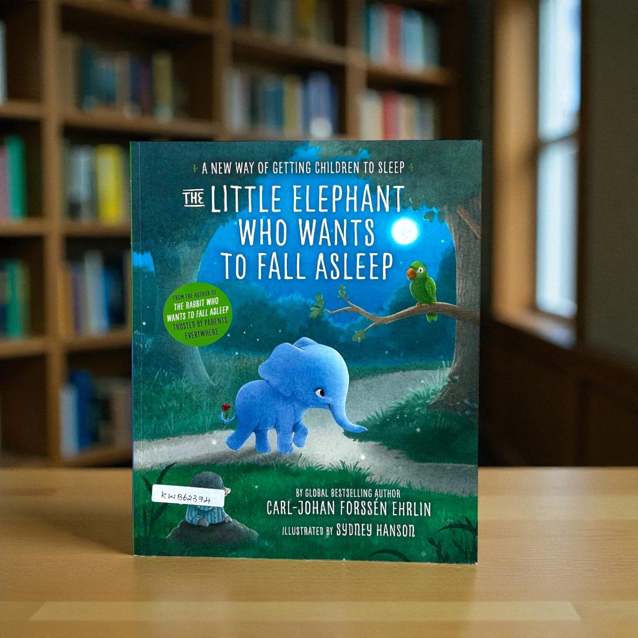 The Little Elephant Who Wants To Fall Asleep_Ladybird_Used_Sydney Hanson_RDM_KWB62374