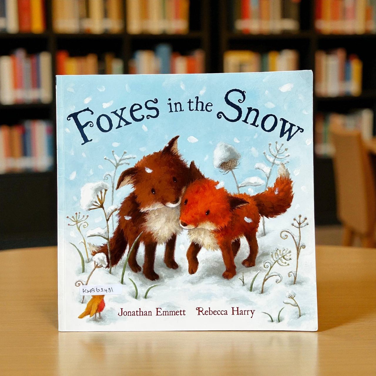Foxes In The Snow_Macmillan_Rebecca Harry_RDS_KWB62431