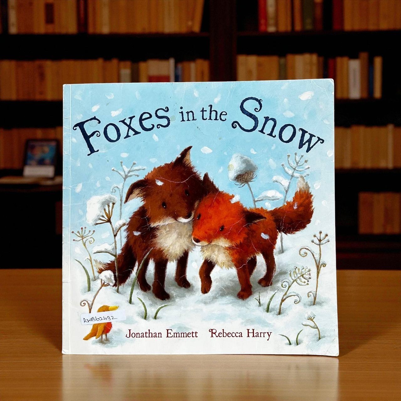 Foxes In The Snow_Macmillan_Used_Rebecca Harry_RDS_KWB62432