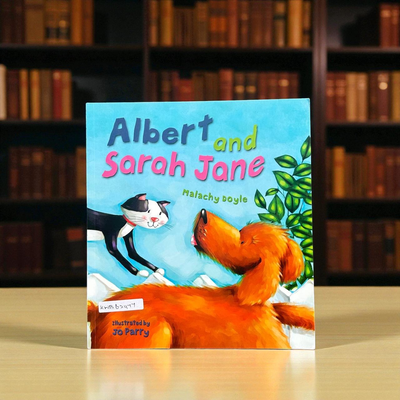 Albert And Sarah Jane_QED_Malachy Doyle_RDS_KWB62477