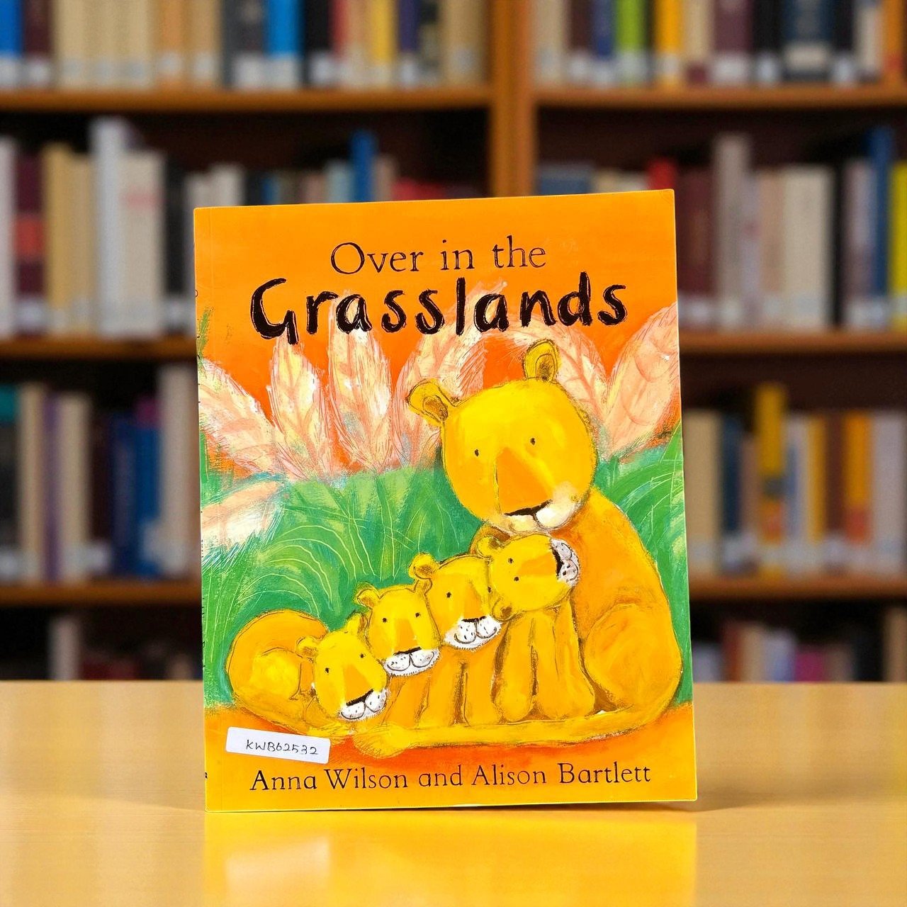 Over In The Grasslands_Macmillan_Anna Wilson_RDS_KWB62532