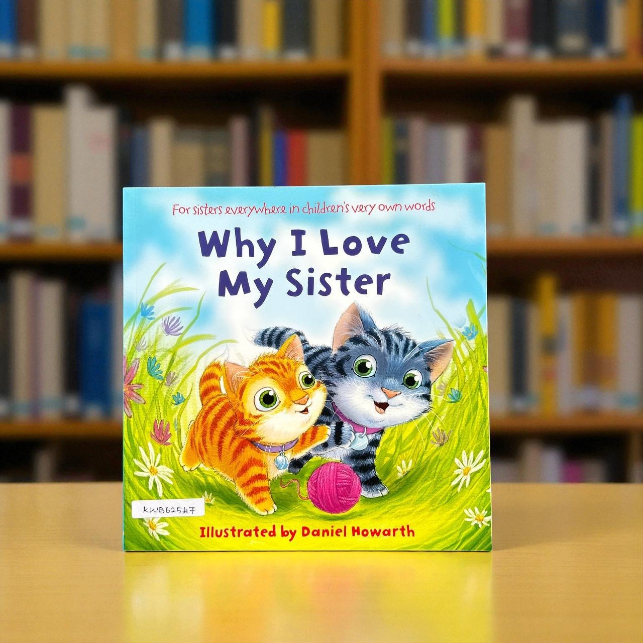 Why I Love My Sister_Harper Collins_Daniel Howarth_RDS_KWB62547