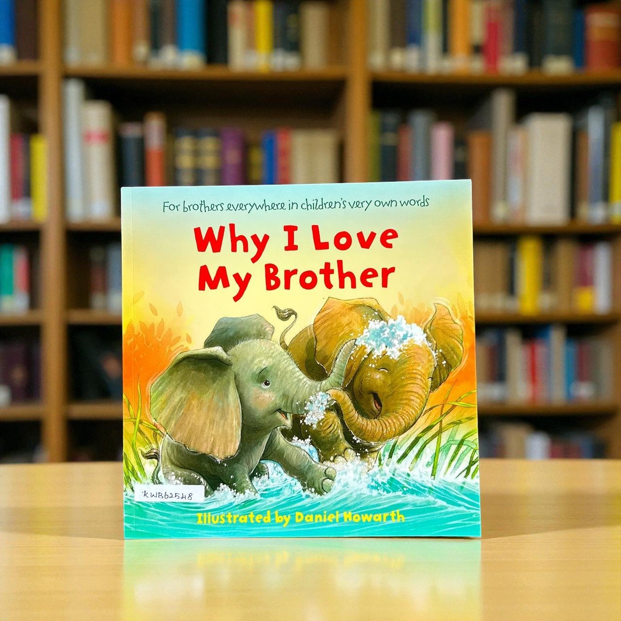 Why I Love My Brother_Harper Collins_Daniel Howarth_RDS_KWB62548