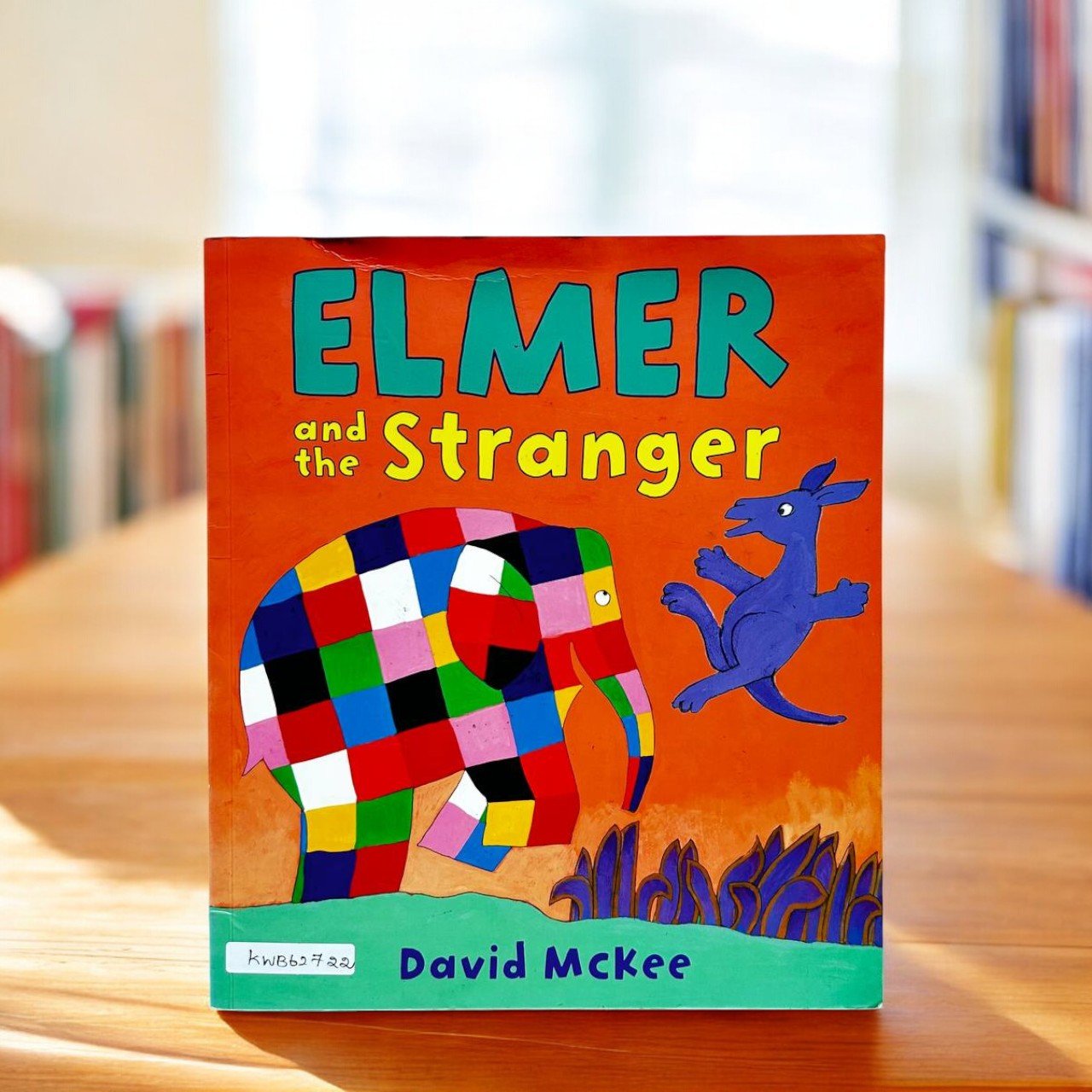 Elmer And The Stranger_David McKee_RDS_KWB62722