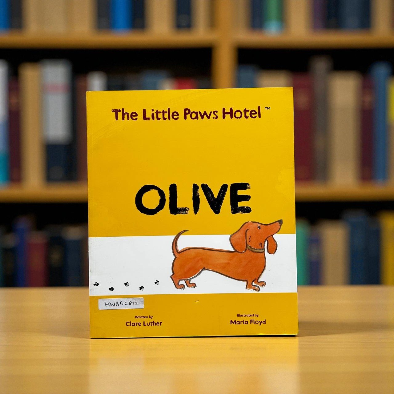 The Little Paws Hotel_Olive_Clare Luther_RDS_KWB62872