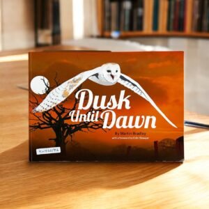 Dusk Until Dawn_Martin Bradley_RDS_KWB62956