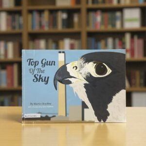 Top Gun Of The Sky_Martin Bradley_RDS_KWB63105