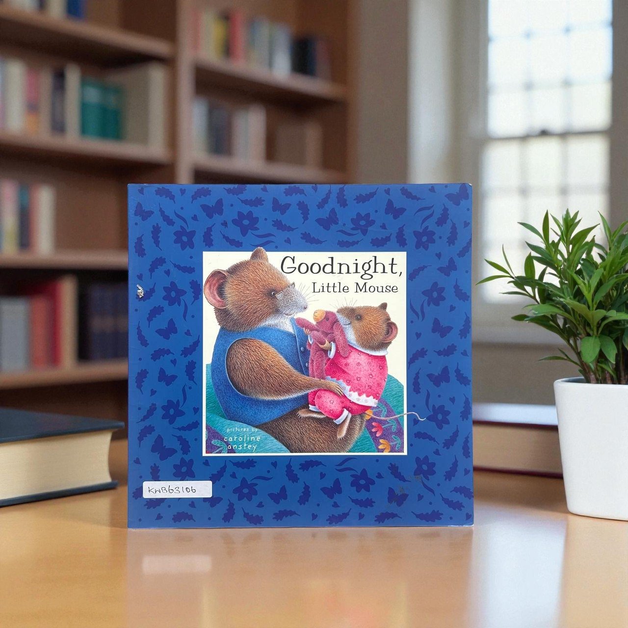 Goodnight Little Mouse_Caroline Anstey_RDS_KWB63106