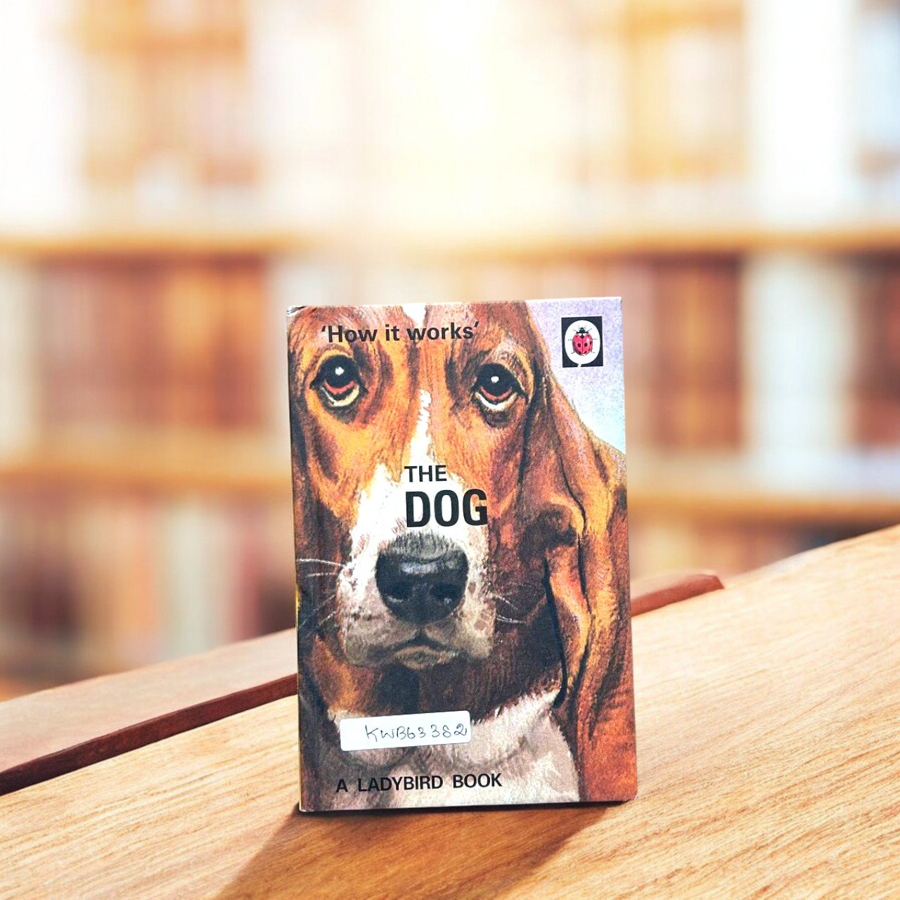 Pocket Friendly_The Dog_How It Works_Ladybird_KWB63382
