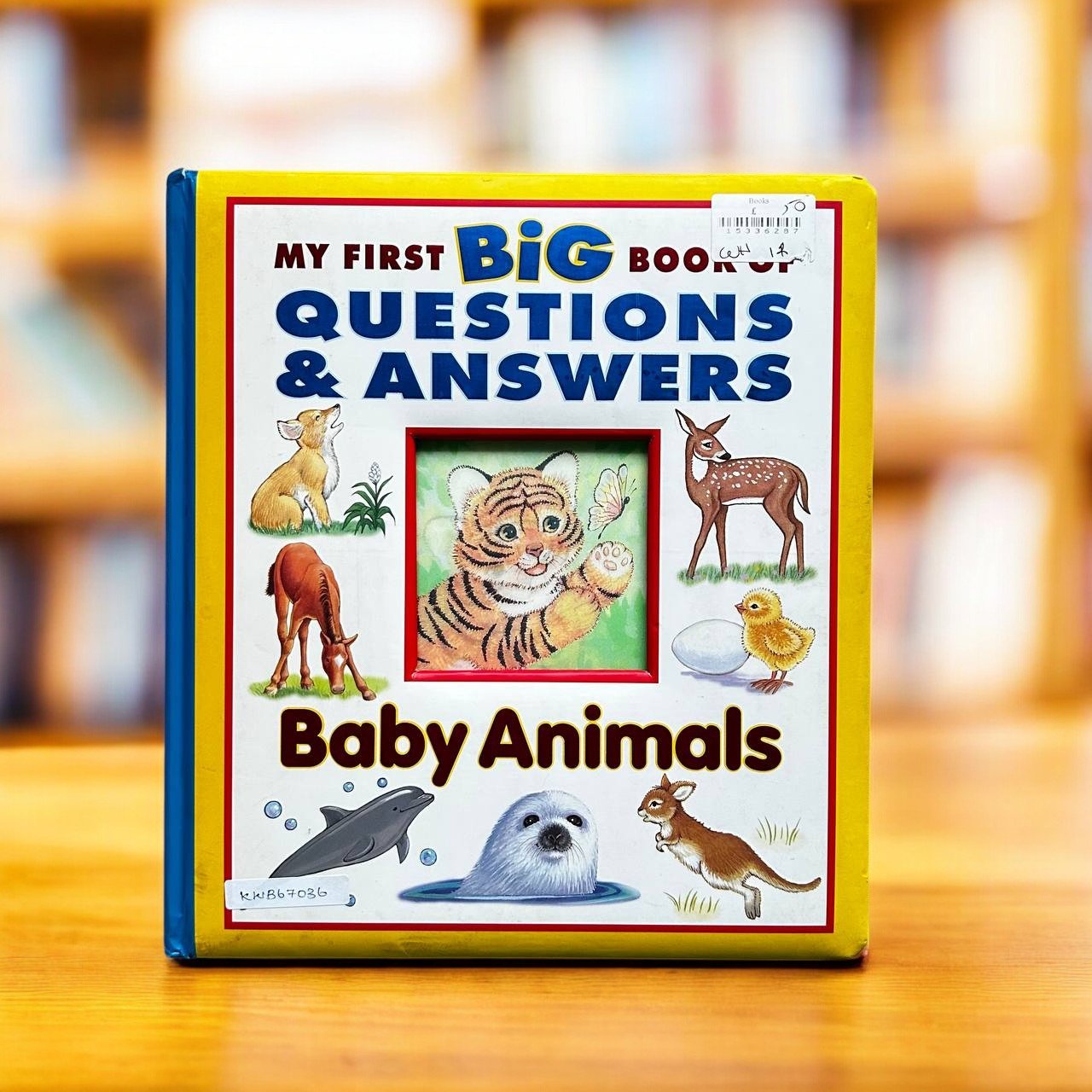 The First Big Book Of Questions & Answers Baby Animals_Pi Kids_KWB67036