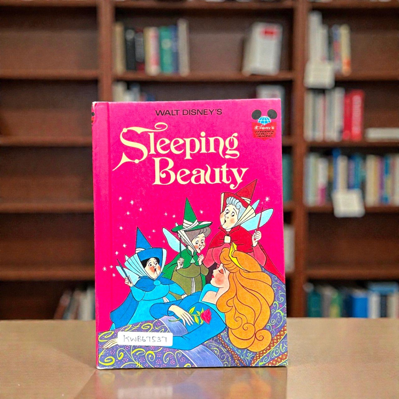Sleeping Beauty_The Wonderful World Of Reading_Disney_KWB67537