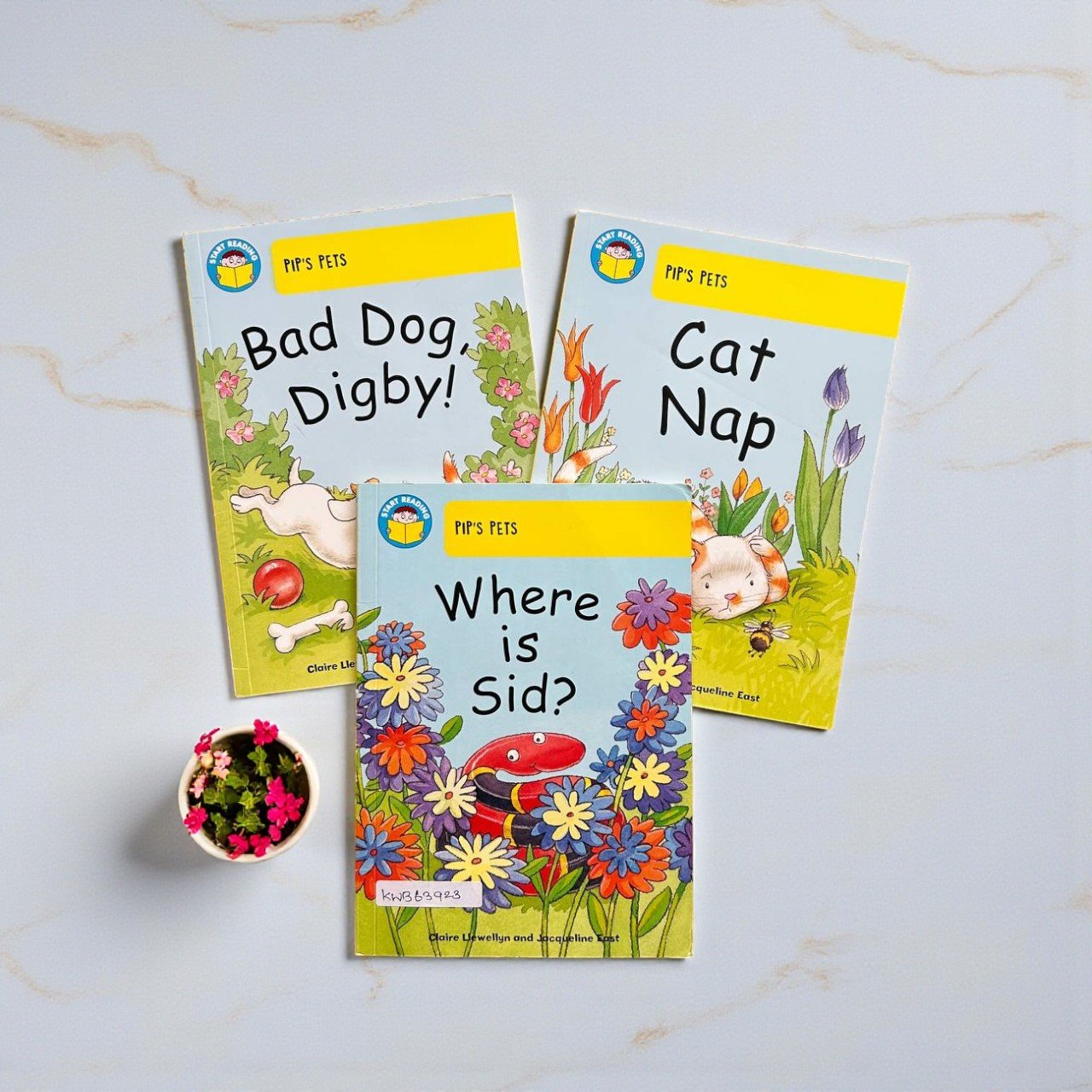 Start Reading_Pip's Pets_Set Of 3 Books_Claire Llewellyn_KWB63923
