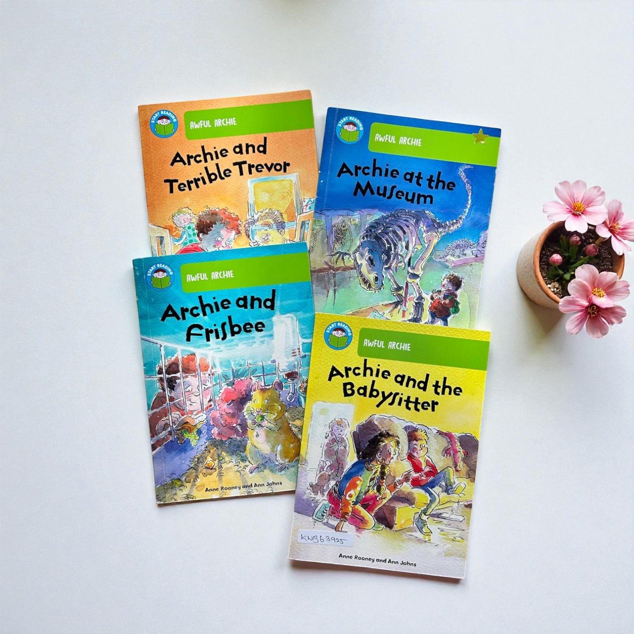 Start Reading_Awful Archie_Set Of 4 Books_Phonics_Wayland Books_KWB63925