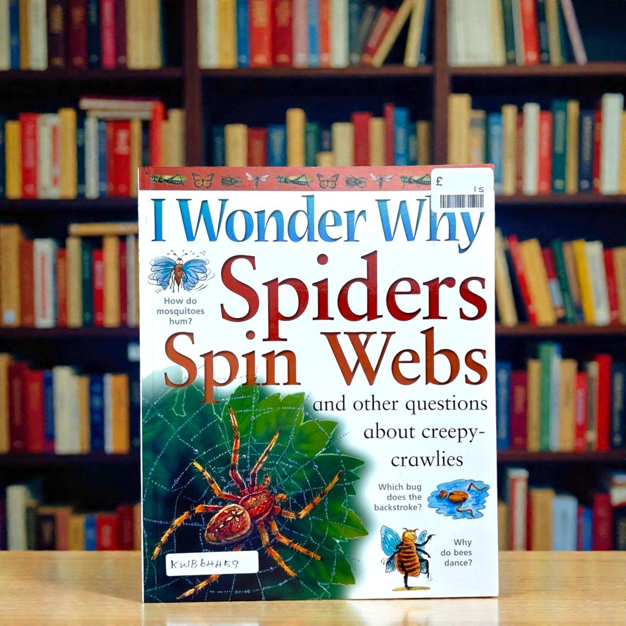 I Wonder Why Spider Spin Webs And Other Questions About Creepy Crawlies_Kingfisher_KWB64459