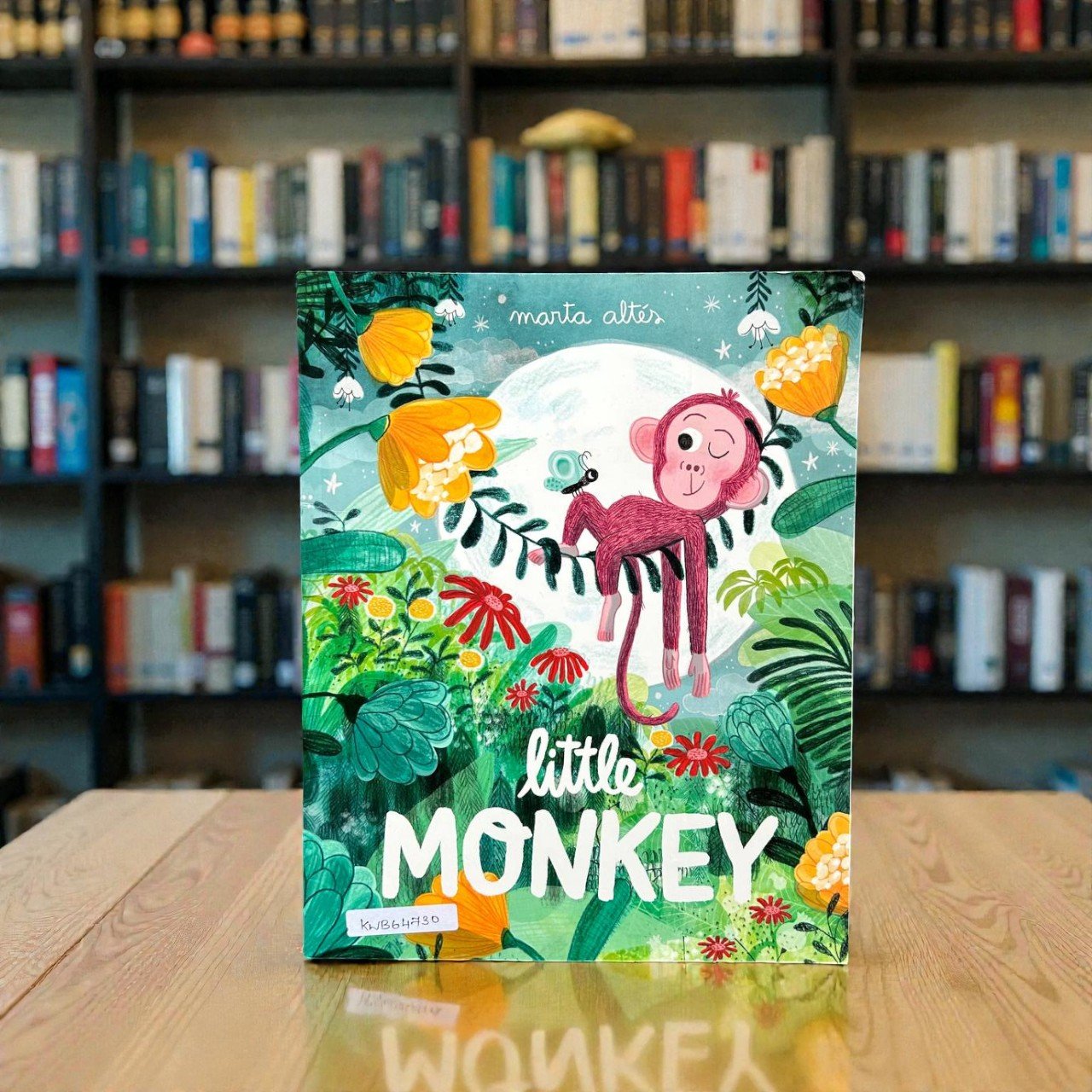 Little Monkey_Marta Alte_KWB64730