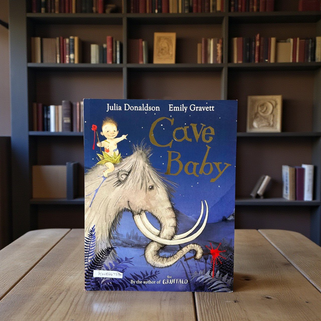 Cave Baby_Julia Donaldson_KWB64735