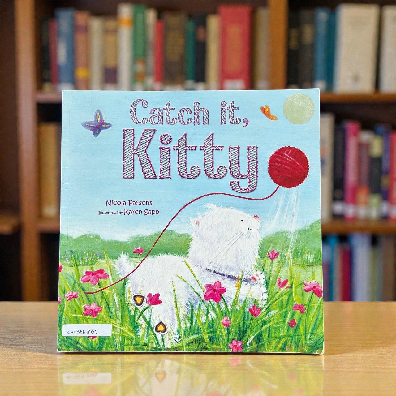 Catch It, Kitty_Igloo Books_Nicola Parsons_RDS_KWB64806