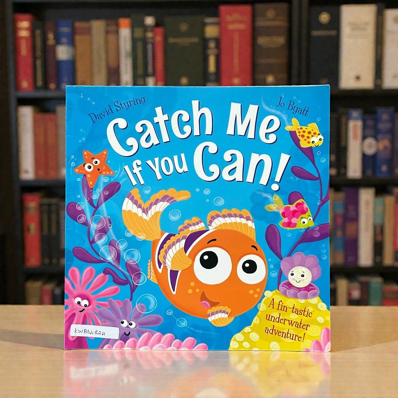 Catch Me If You Can!_Igloo Books_David Styring_RDS_KWB64824