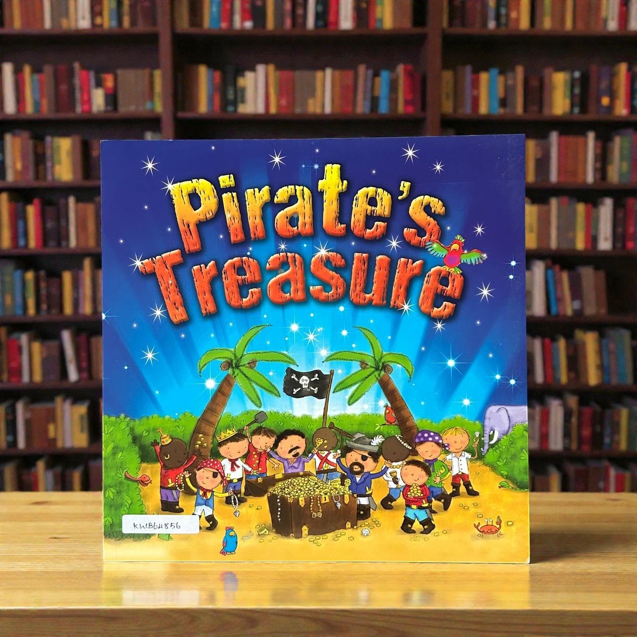 Pirate's Treasure_Igloo Books_RDS_KWB64856