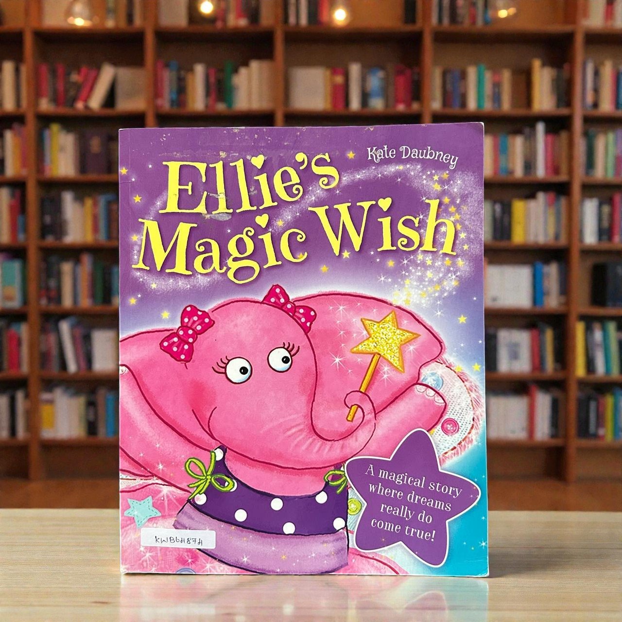 Ellie's Magic Wish_Igloo Books_Used_Kate Daubney_RDS_KWB64874
