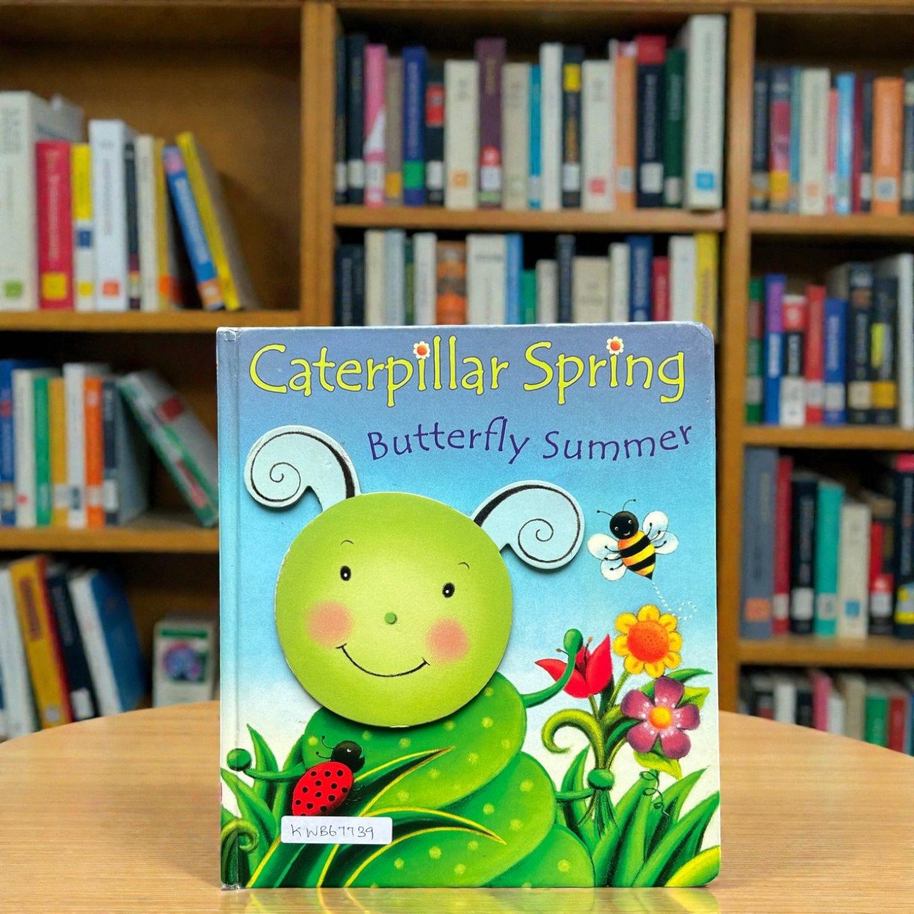 Caterpillar Spring_Butterfly Summer_Spring Book_Reader's Digest_KWB67739