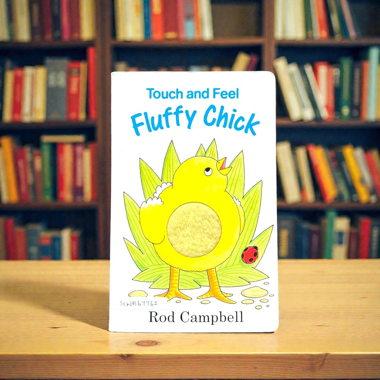 Fluffy Chick_Touch And Feel Book_Rod Campbell_KWB67762