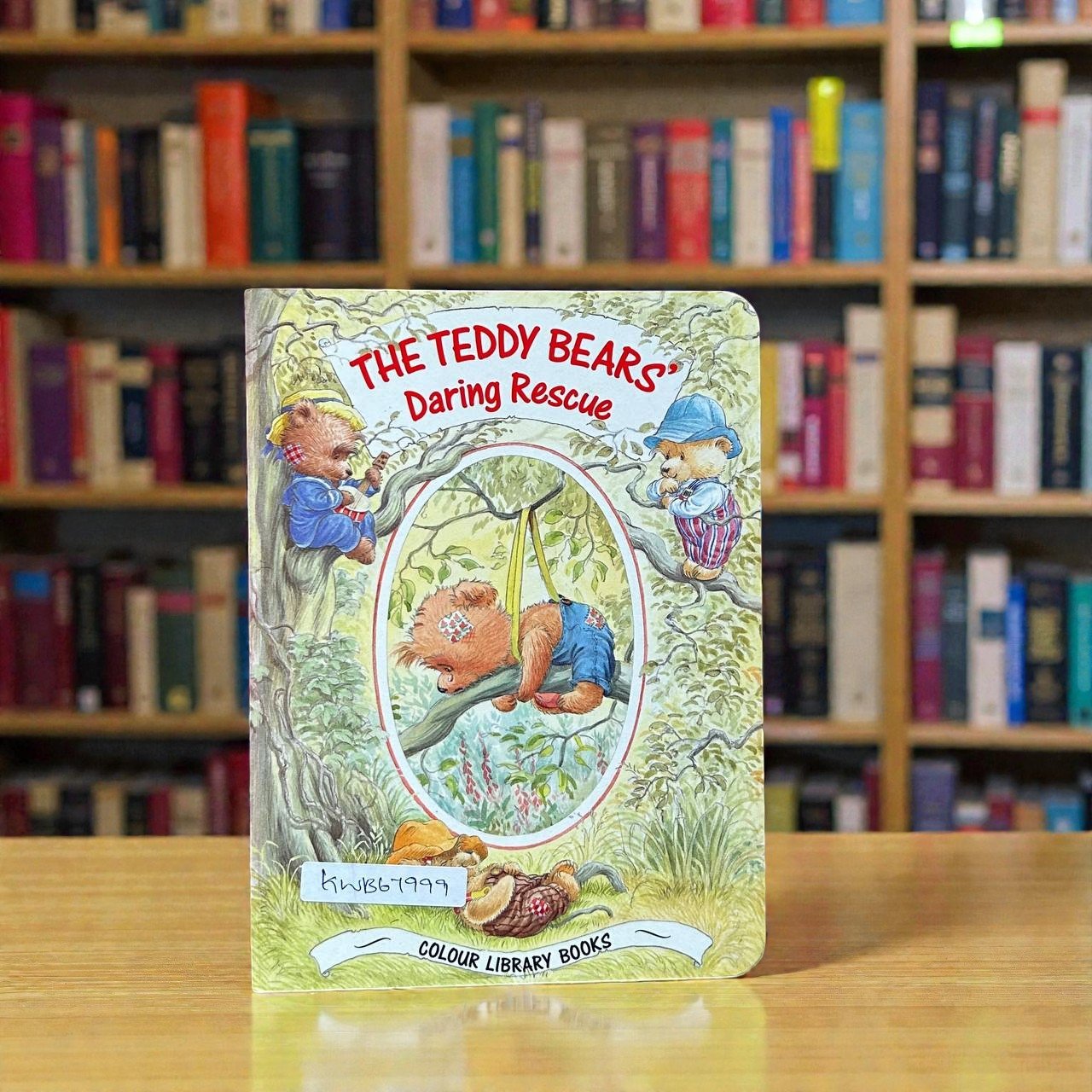The Teddy Bears Daring Rescue_Colour Library Books_KWB67999
