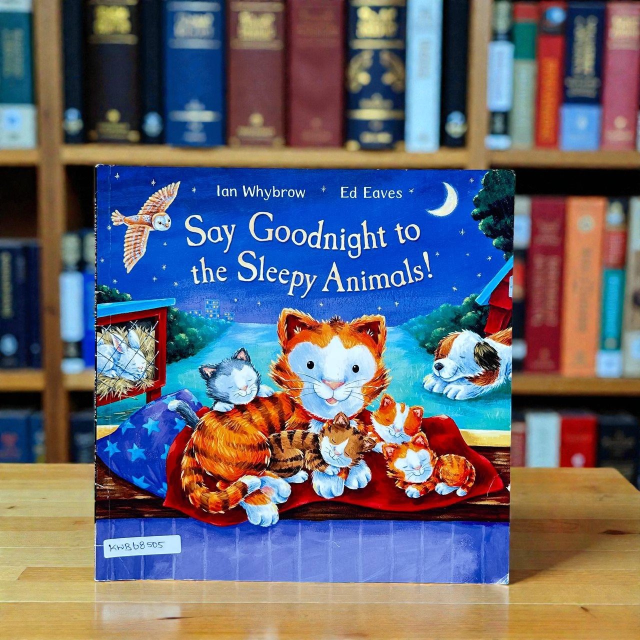 Say Goodnight To The Sleepy Animals_Macmillan_Ian Whybrow_RDS_KWB68505