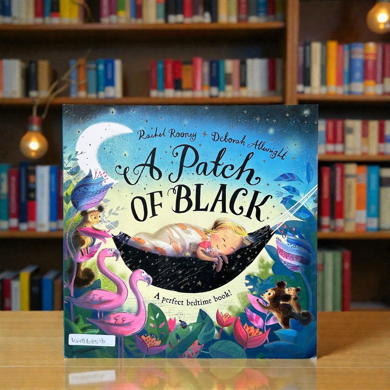 A Patch Of Black_Macmillan_Rachel Rooney_RDS_KWB68516