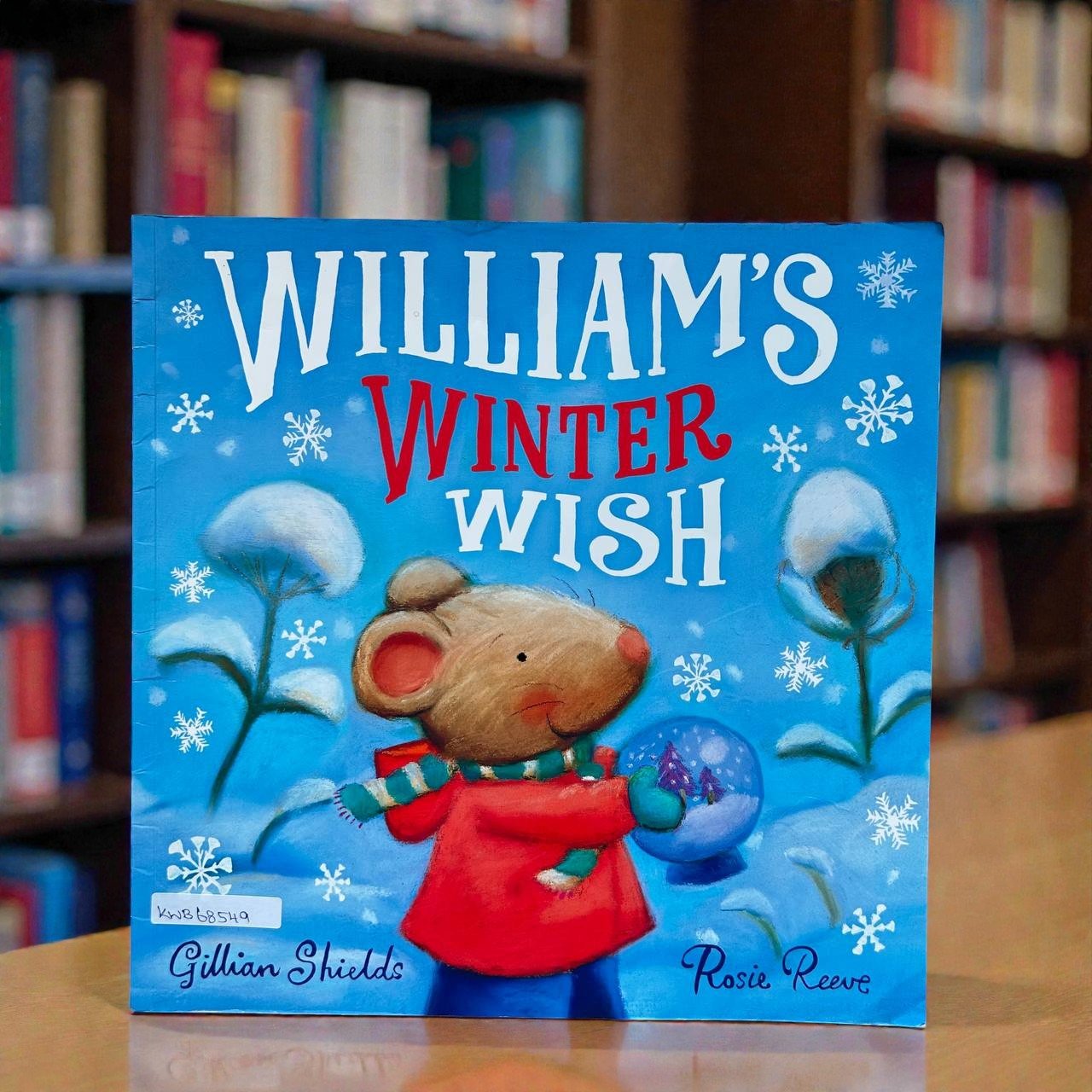 William's Winter Wish_Macmillan_Gillian Shields_RDS_KWB68549