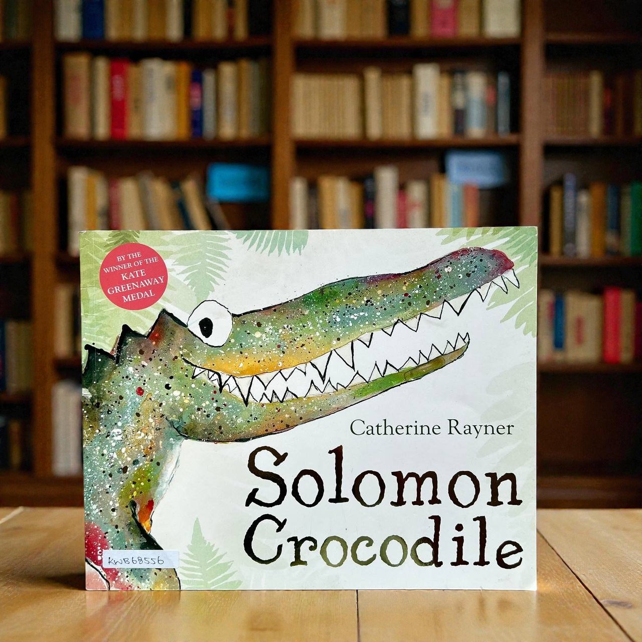 Solomon Crocodile_Macmillan_Catherine Rayner_RDS_KWB68556