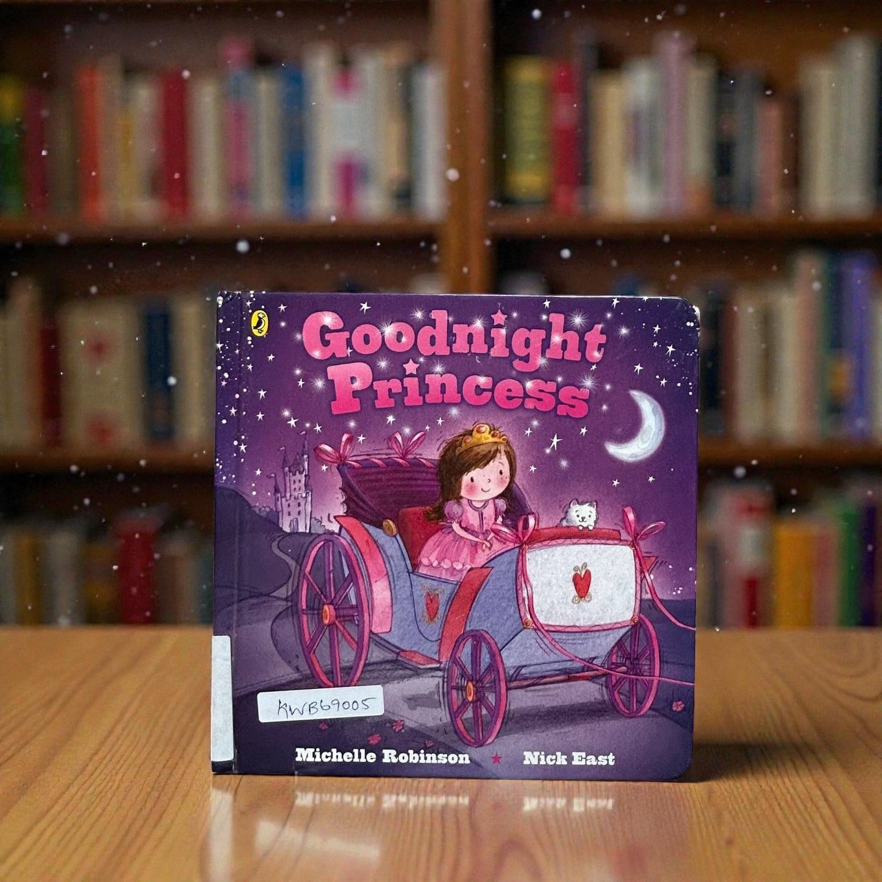 Goodnight Princess_Michelle Robinson_KWB69005