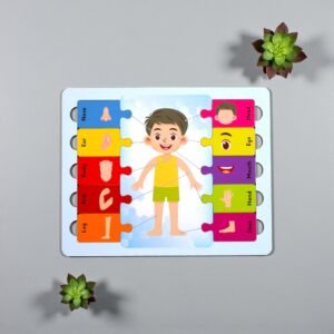 Human Body Jigsaw Puzzle