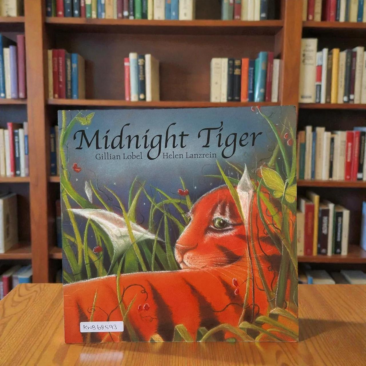 Midnight Tiger_Oxford_Gillian Lobel_RDS_KWB68593