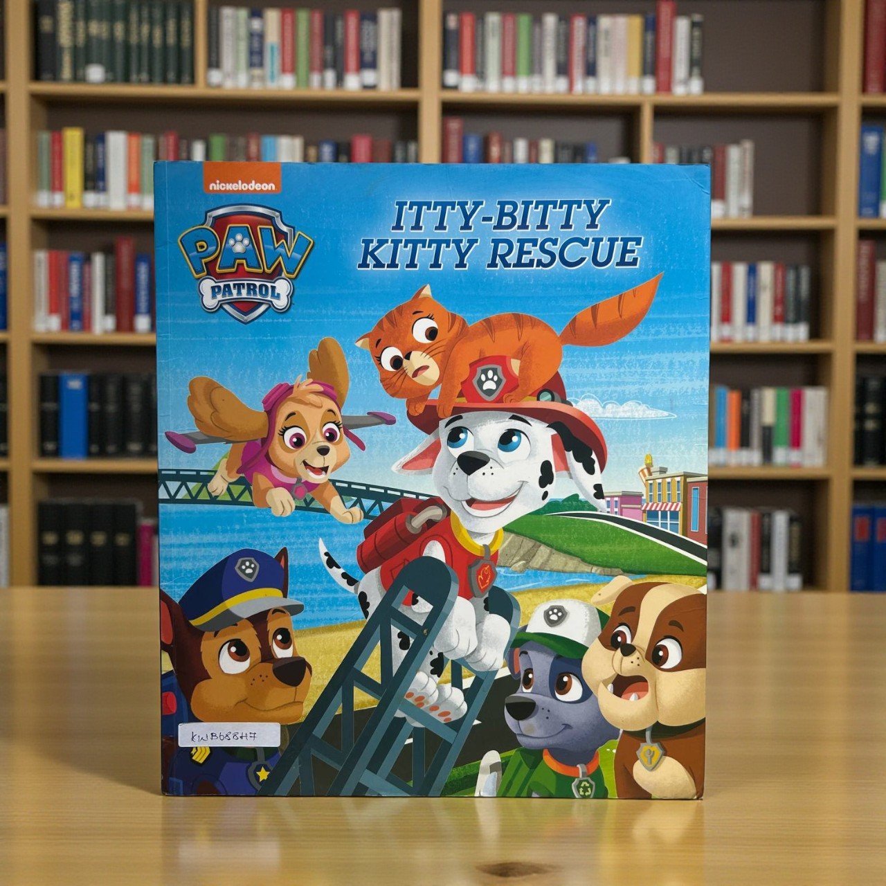 Itty Bitty Kitty Rescue_Paw Patrol_Nickelodeon_RDS_KWB68847
