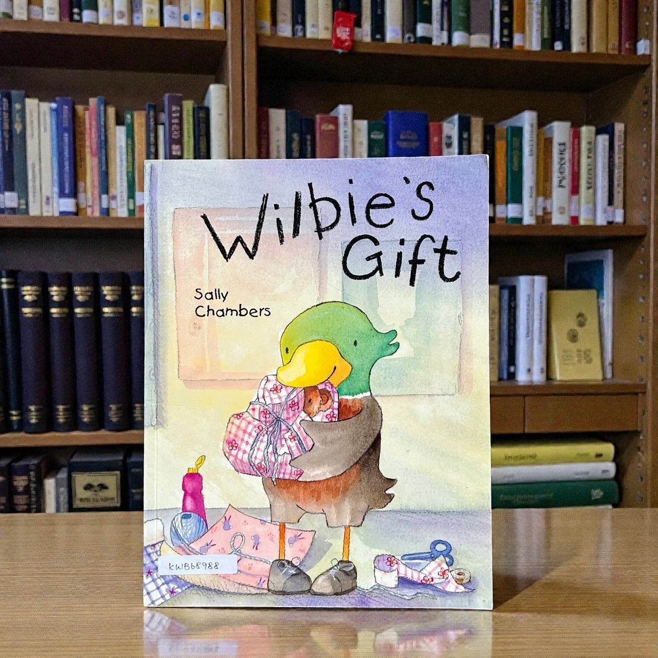 Wilbie's Gift_Piccadilly Press_Sally Chambers_RDS_KWB68988