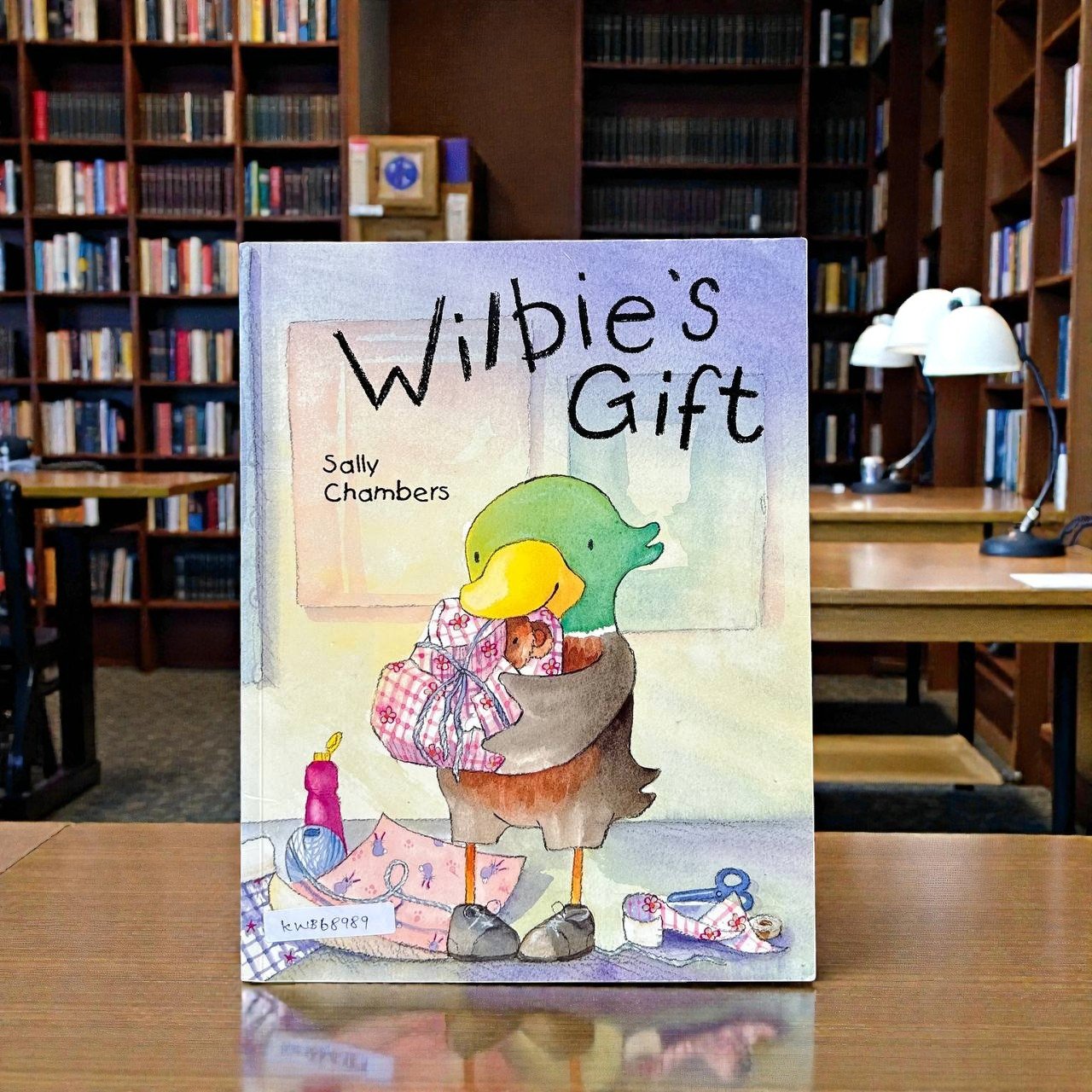 Wilbie's Gift_Piccadilly Press_Sally Chambers_RDS_KWB68989