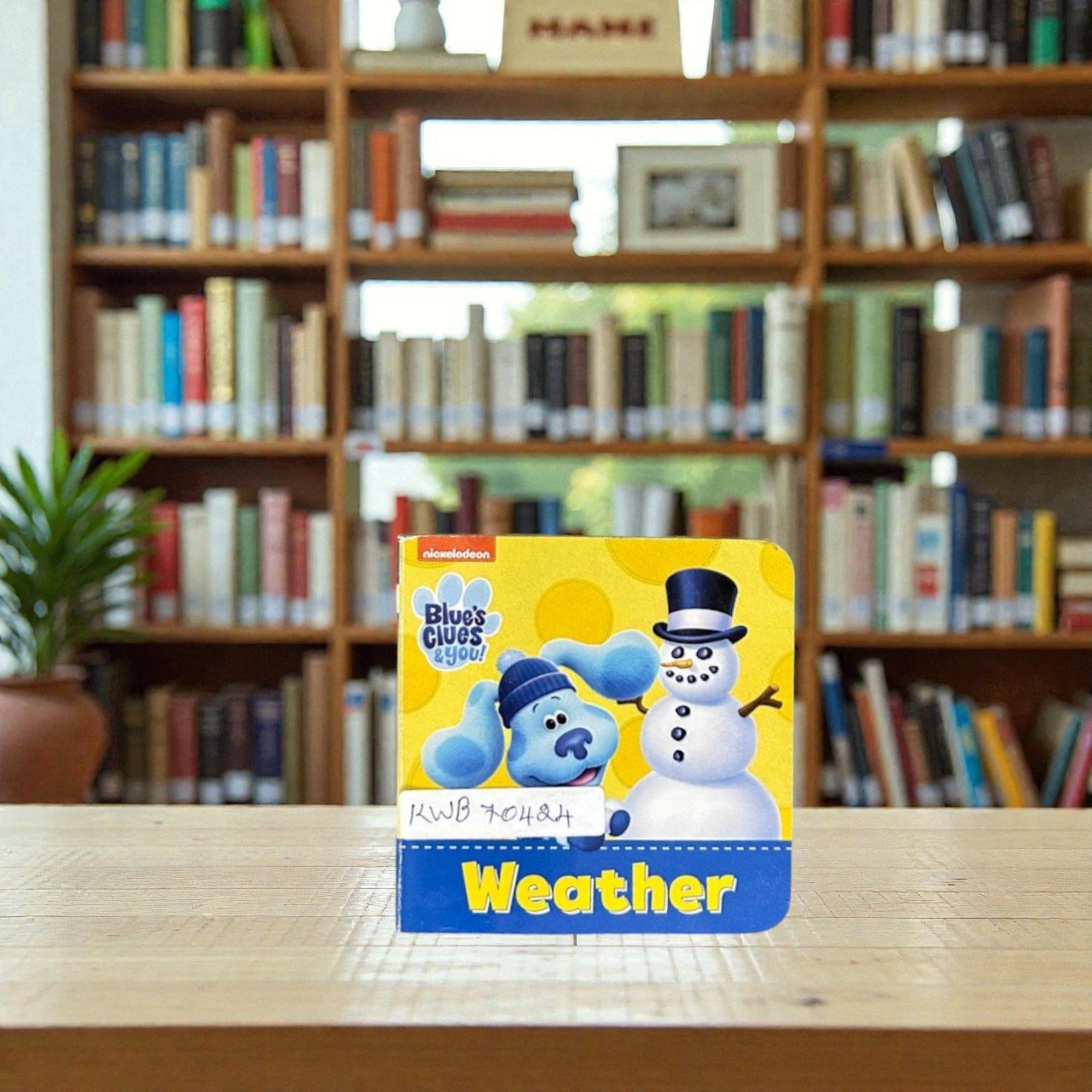 Pocket Size_Weather_Blue's Clues & You_BB Stories_Nickelodeon_KWB70424