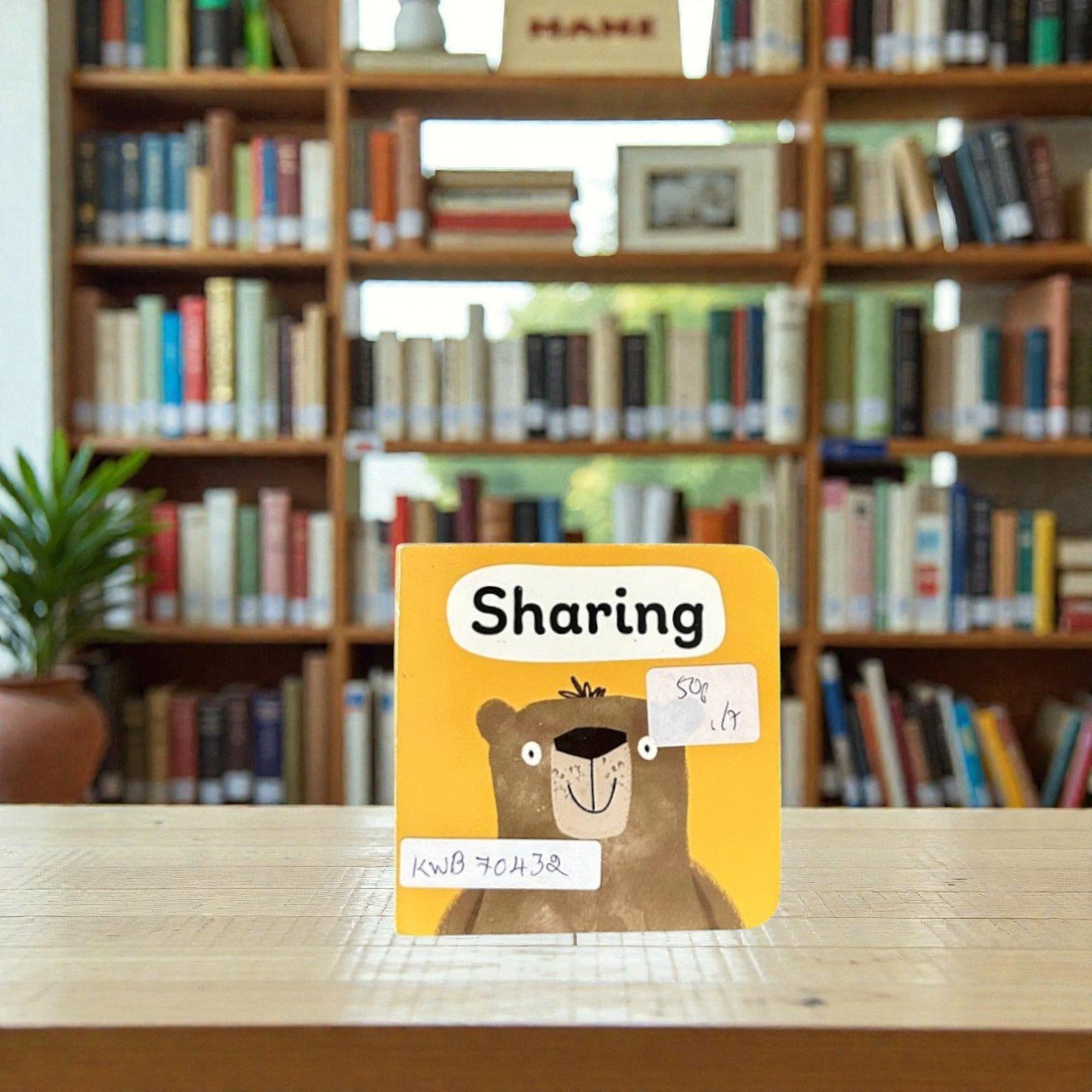 Pocket Size_Sharing_BB Stories_Brandon Mattless_KWB70432