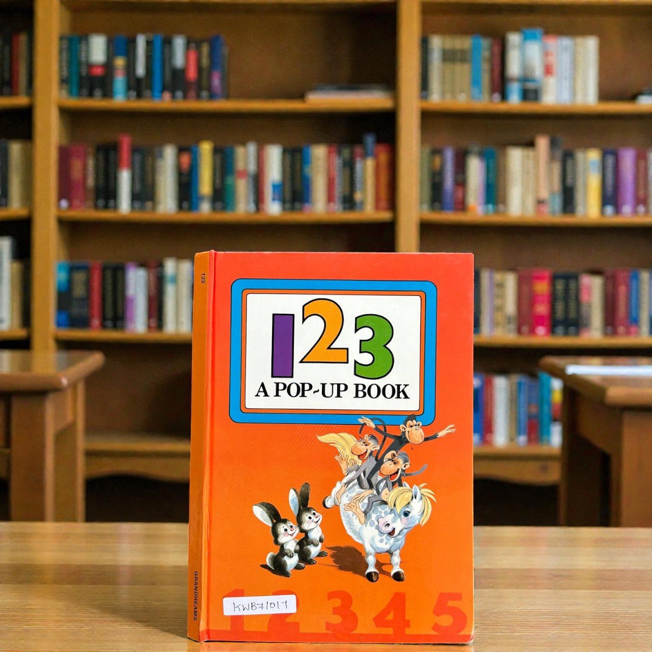 123_Pop Up Book_Interactive_Grandreams_KWB71017