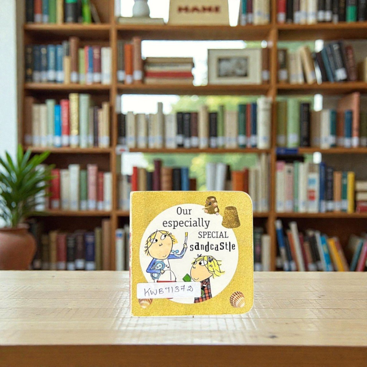 Pocket Size_Our Specially Special Sandcastle_Charlie And Lola_BB Stories_Puffin_KWB71372