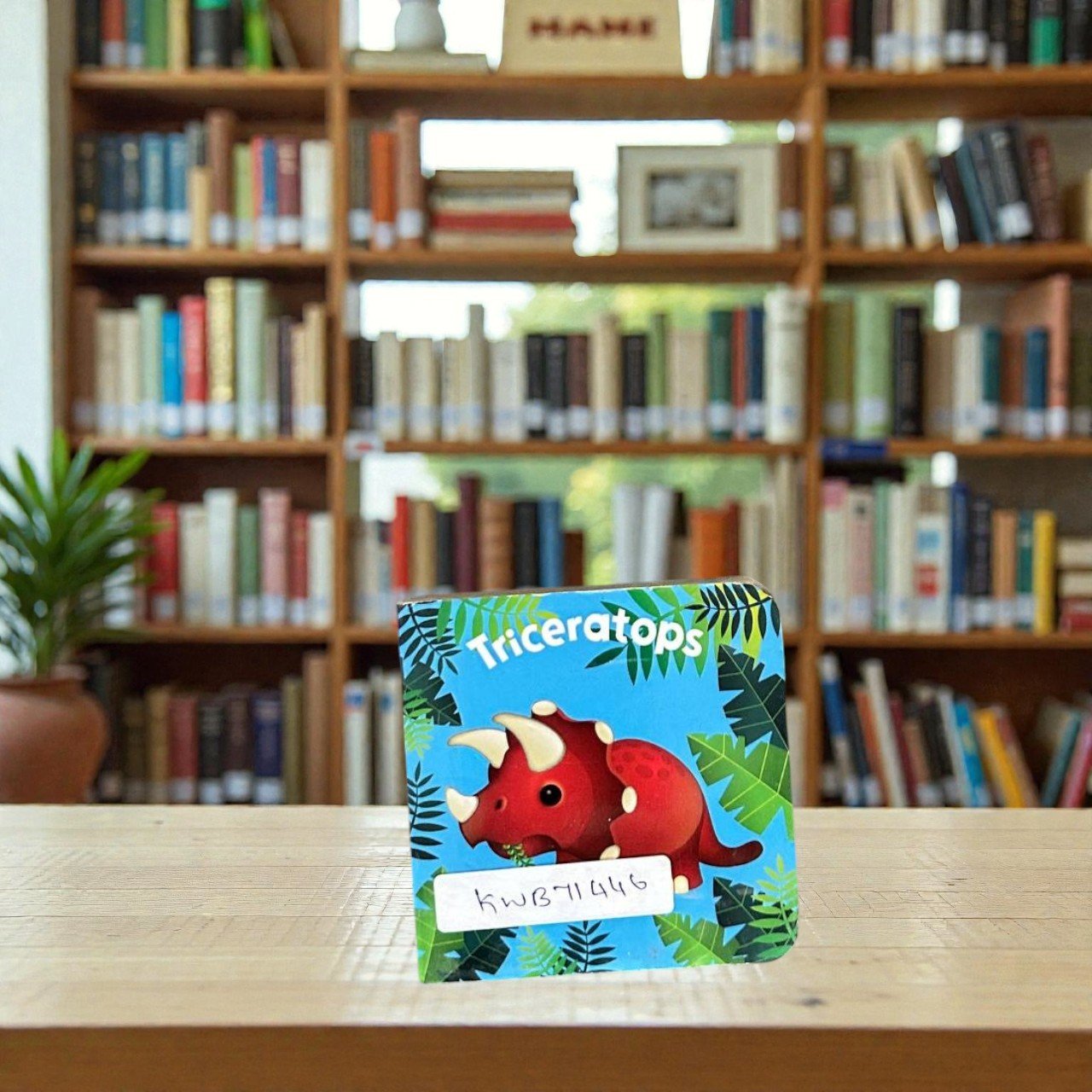 Pocket Size_Triceratops_First Concepts_Page Publications_KWB71446