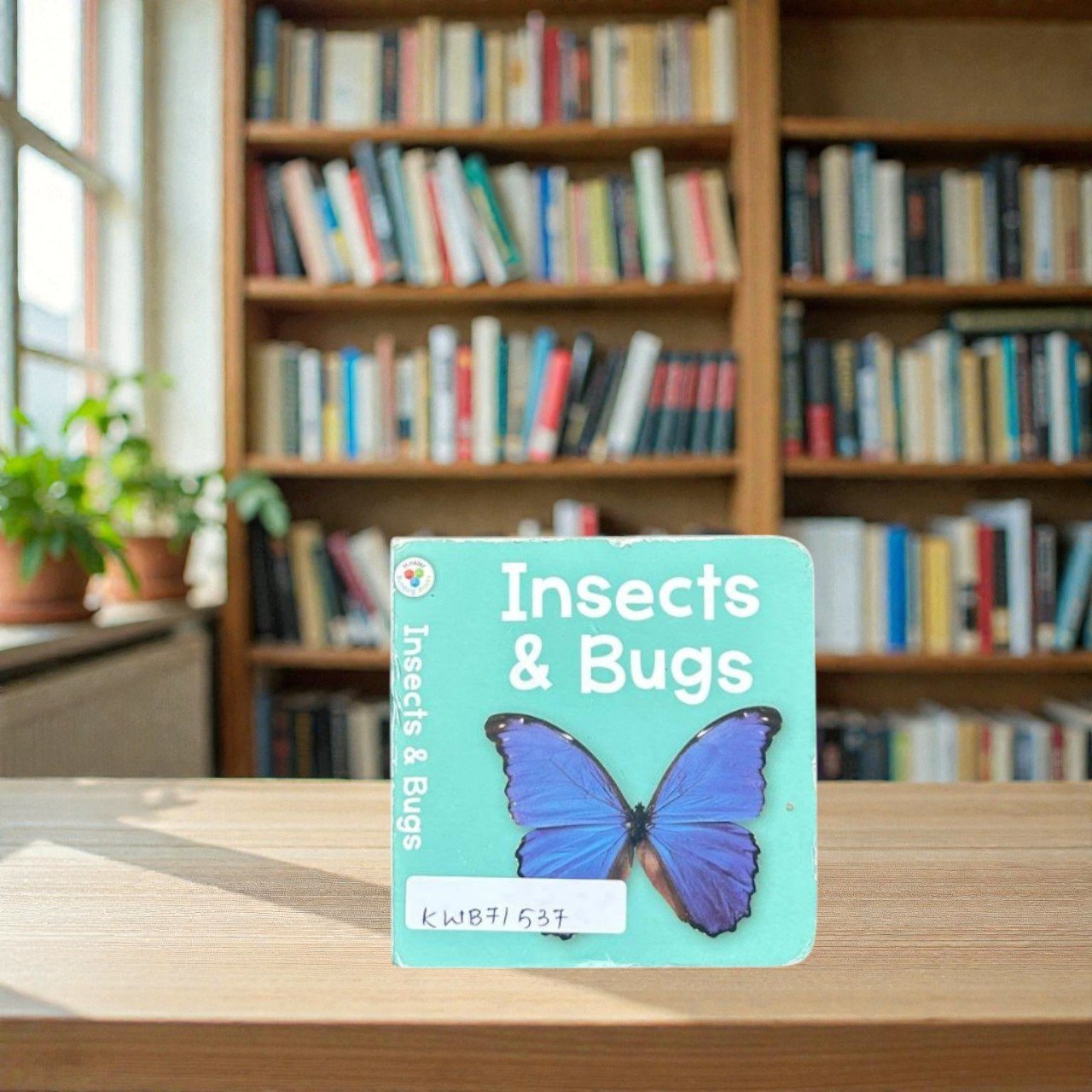 Pocket Size_Insects & Bugs_First Concepts_Hinkler_KWB71537