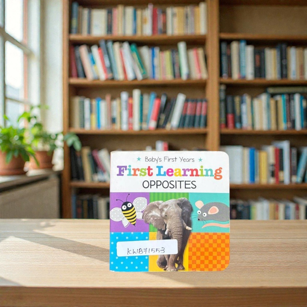 Pocket Size_Opposites_First Learning_Baby's First Years_First Concepts_North Parade Publishing_KWB71553