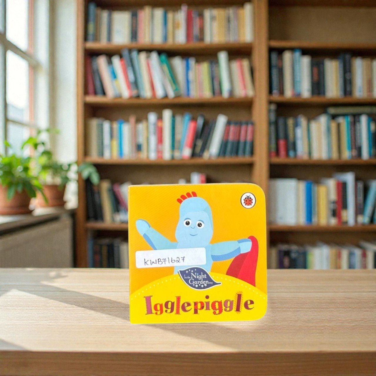 Pocket Size_Igglepiggle_In The Night Garden_BB Stories_Ladybirds_KWB71627